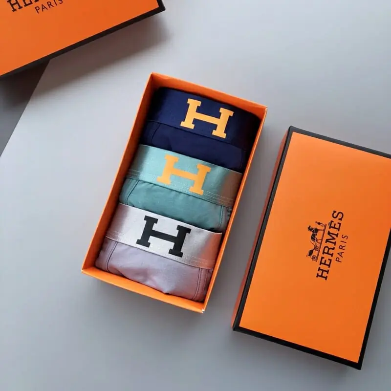 hermes sous vetementss pour homme s_11ba1701